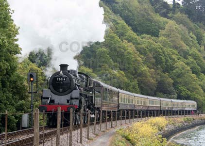 Purchase photo of 75014 BRAVEHEART at Dartmouth Steam Railway